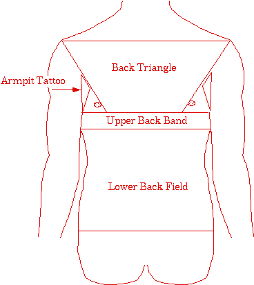 Layout of a men back tattoo